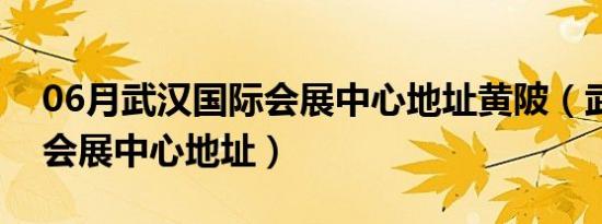 06月武汉国际会展中心地址黄陂（武汉国际会展中心地址）