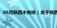 06月陕西木有啥（关于陕西木有啥的介绍）