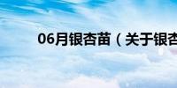 06月银杏苗（关于银杏苗的介绍）