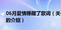 06月爱情睡醒了歌词（关于爱情睡醒了歌词的介绍）