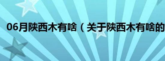 06月陕西木有啥（关于陕西木有啥的介绍）