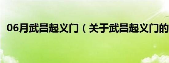 06月武昌起义门（关于武昌起义门的介绍）