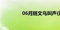 06月斑文鸟叫声(斑文鸟)