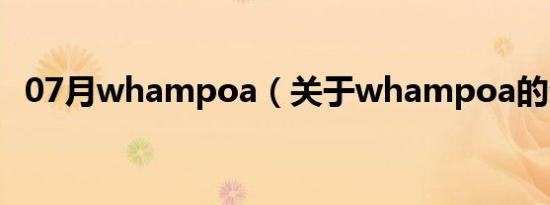 07月whampoa（关于whampoa的介绍）