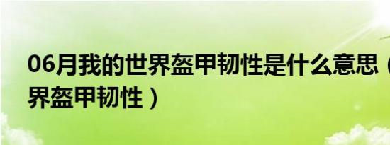 06月我的世界盔甲韧性是什么意思（我的世界盔甲韧性）