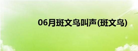 06月斑文鸟叫声(斑文鸟)