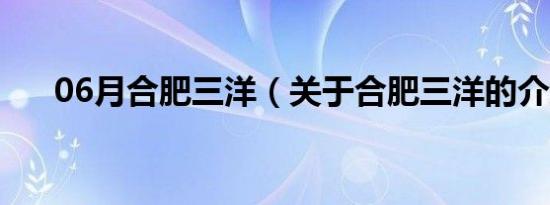 06月合肥三洋（关于合肥三洋的介绍）