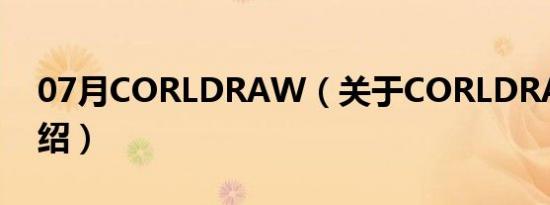 07月CORLDRAW（关于CORLDRAW的介绍）