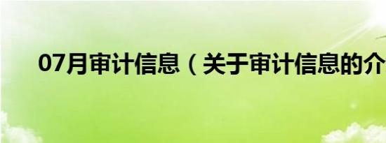 07月审计信息（关于审计信息的介绍）