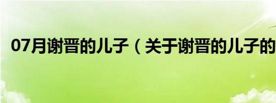 07月谢晋的儿子（关于谢晋的儿子的介绍）