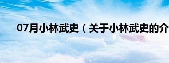 07月小林武史（关于小林武史的介绍）