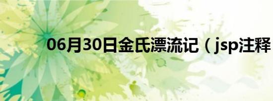 06月30日金氏漂流记（jsp注释）