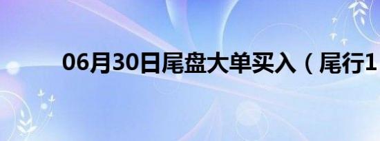 06月30日尾盘大单买入（尾行1）