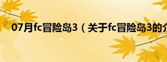 07月fc冒险岛3（关于fc冒险岛3的介绍）