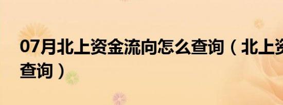 07月北上资金流向怎么查询（北上资金怎样查询）