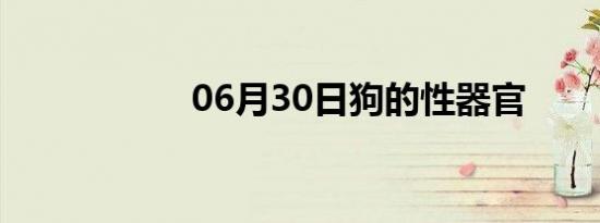 06月30日狗的性器官