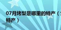 07月烤梨是哪里的特产（烤梨是什么地方的特产）