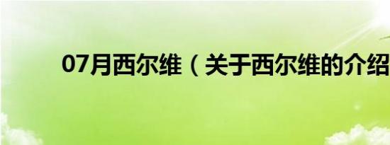 07月西尔维（关于西尔维的介绍）