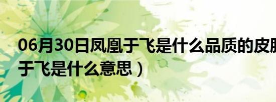 06月30日凤凰于飞是什么品质的皮肤（凤凰于飞是什么意思）