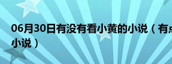 06月30日有没有看小黄的小说（有点小黄的小说）