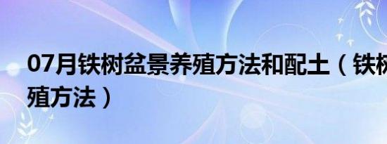 07月铁树盆景养殖方法和配土（铁树盆景养殖方法）