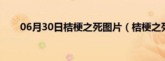 06月30日桔梗之死图片（桔梗之死）