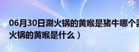 06月30日涮火锅的黄喉是猪牛哪个器官（涮火锅的黄喉是什么）