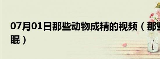 07月01日那些动物成精的视频（那些动物冬眠）