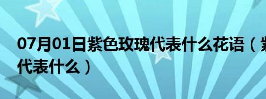 07月01日紫色玫瑰代表什么花语（紫色玫瑰代表什么）