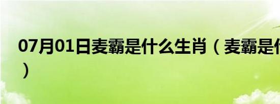 07月01日麦霸是什么生肖（麦霸是什么意思）