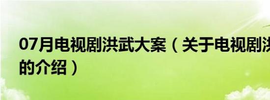 07月电视剧洪武大案（关于电视剧洪武大案的介绍）