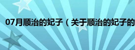 07月顺治的妃子（关于顺治的妃子的介绍）