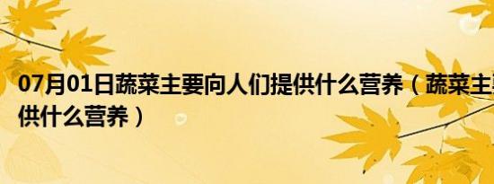 07月01日蔬菜主要向人们提供什么营养（蔬菜主要向人们提供什么营养）