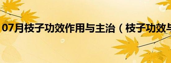 07月枝子功效作用与主治（枝子功效与作用）