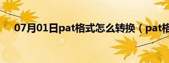 07月01日pat格式怎么转换（pat格式）