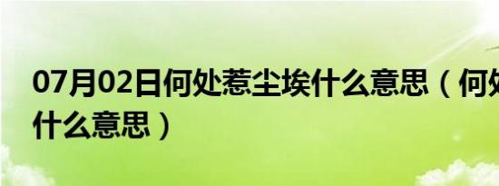 07月02日何处惹尘埃什么意思（何处惹尘埃什么意思）