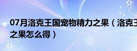 07月洛克王国宠物精力之果（洛克王国精力之果怎么得）