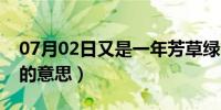 07月02日又是一年芳草绿（依然十里杏花红的意思）