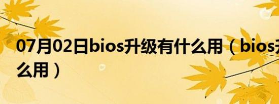 07月02日bios升级有什么用（bios升级有什么用）