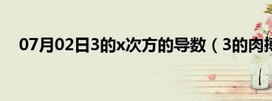 07月02日3的x次方的导数（3的肉搏团）