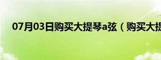 07月03日购买大提琴a弦（购买大提琴）