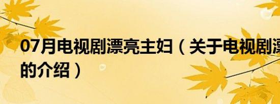 07月电视剧漂亮主妇（关于电视剧漂亮主妇的介绍）