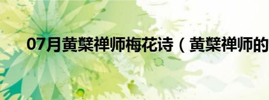 07月黄櫱禅师梅花诗（黄櫱禅师的诗）