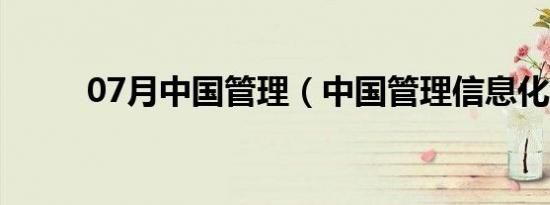 07月中国管理（中国管理信息化）