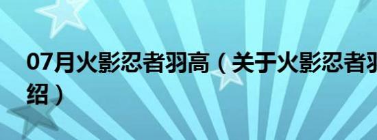 07月火影忍者羽高（关于火影忍者羽高的介绍）