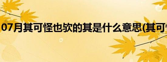 07月其可怪也欤的其是什么意思(其可怪也欤)