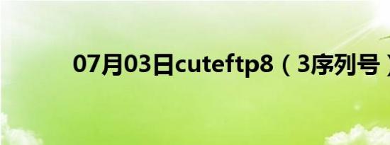 07月03日cuteftp8（3序列号）