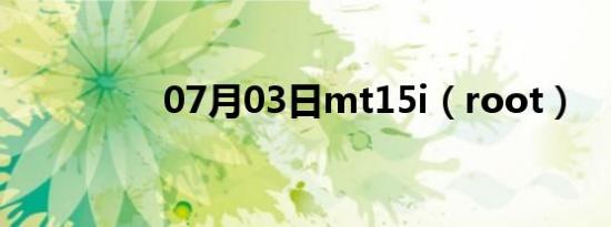 07月03日mt15i（root）