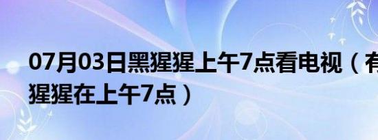 07月03日黑猩猩上午7点看电视（有一个黑猩猩在上午7点）