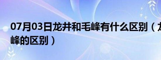 07月03日龙井和毛峰有什么区别（龙井和毛峰的区别）